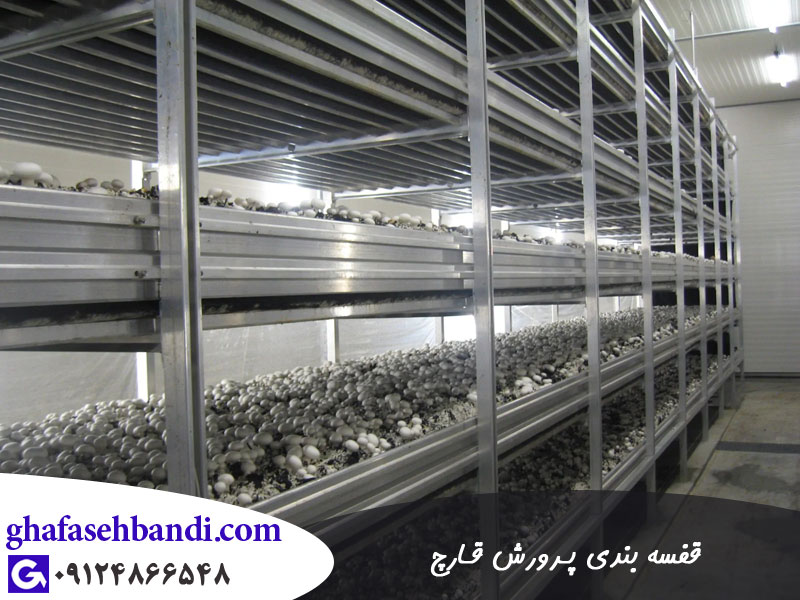 قفسه پرورش قارچ