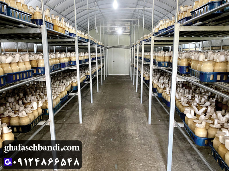 قفسه پرورش قارچ