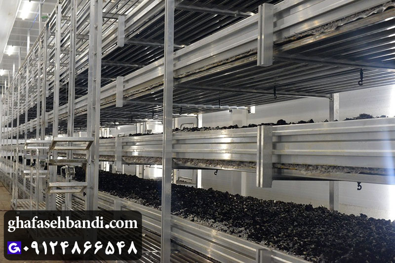 قفسه برای پرورش قارچ