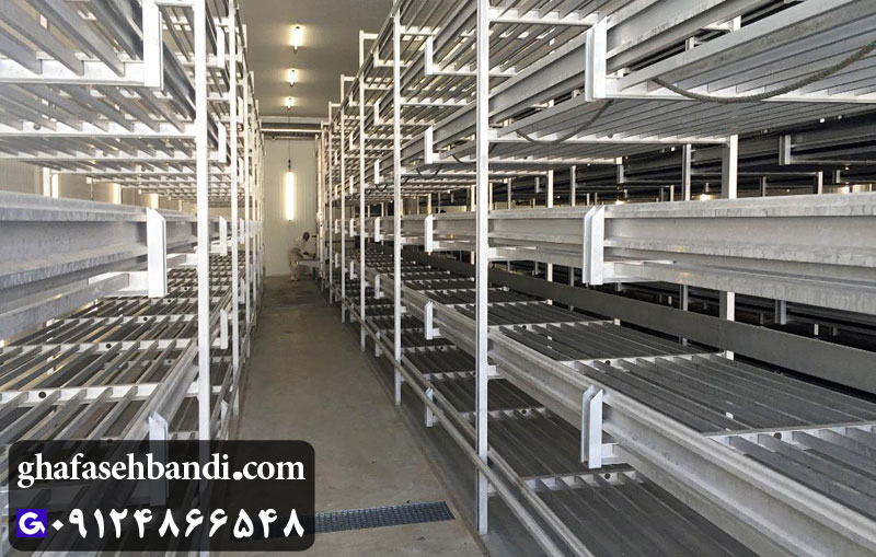 قفسه بندی قارچ دکمه ای