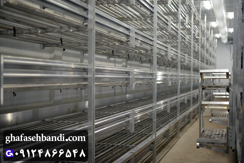 سالن پرورش قارچ