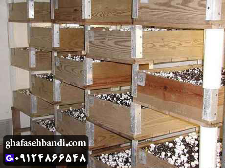 قفسه های چوبی برای پرورش قارچ